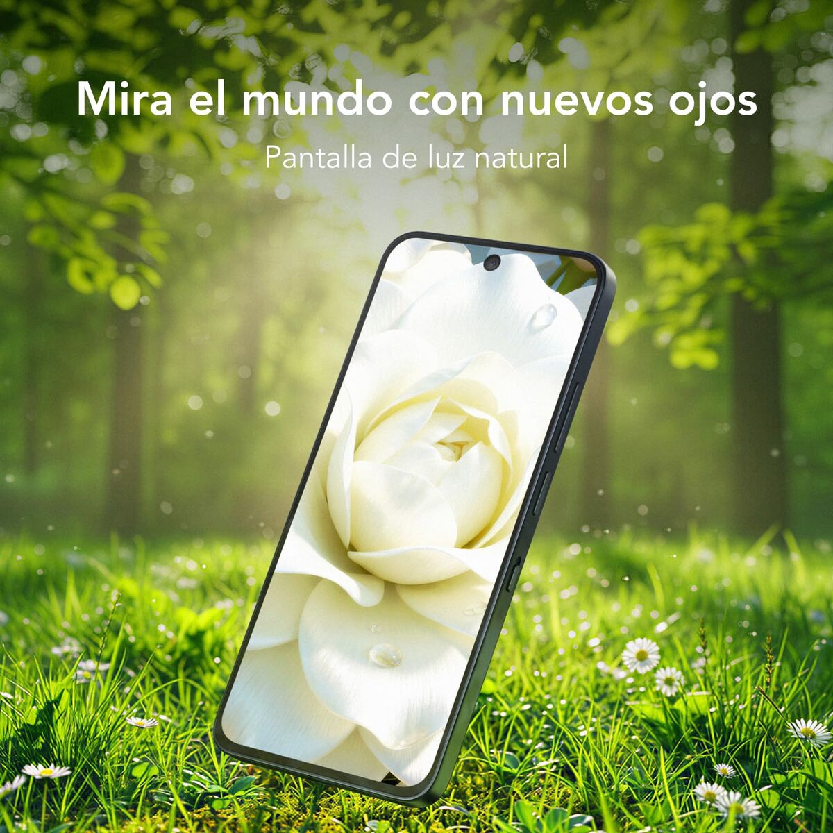 V2H2E1D0BB78CF43F3D9EF4BD5B176B3A53R7741278P4